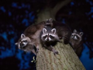 12 примеров, как гримеры преображают актеров