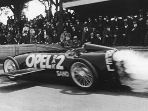 Фото победителей GDT Nature Photographer 2020