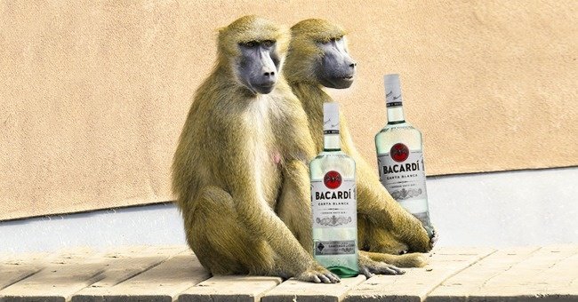 11 интернациональных брендов, которые прогадали с названием