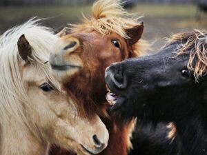 Малоизвестные факты о Луне