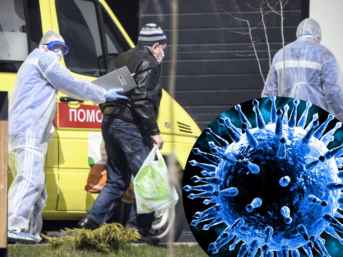 Ученые рассказали, когда в России пройдут пики заболеваемости коронавирусом