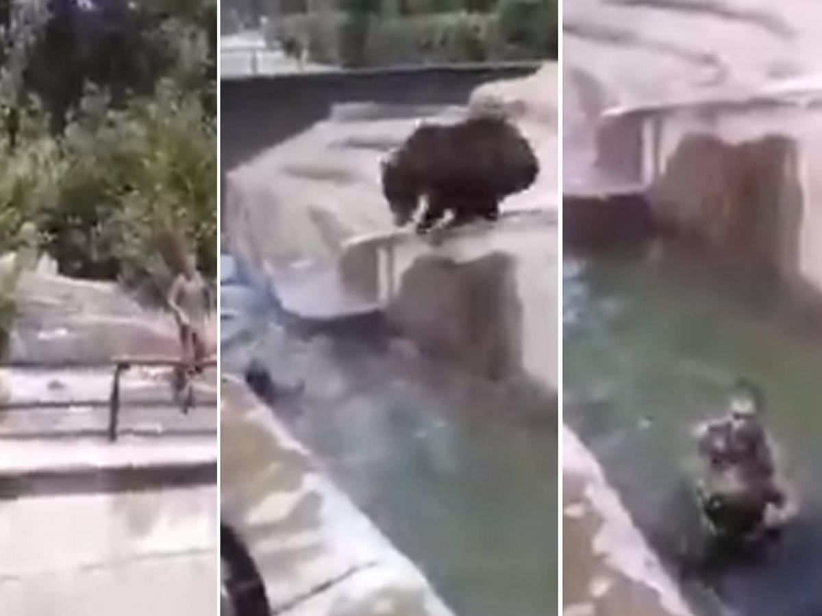 В Варшаве посетитель зоопарка устроил драку с медведем