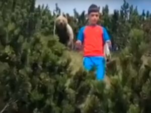 Реакция мальчика на встречу с медведем «взорвала» сеть