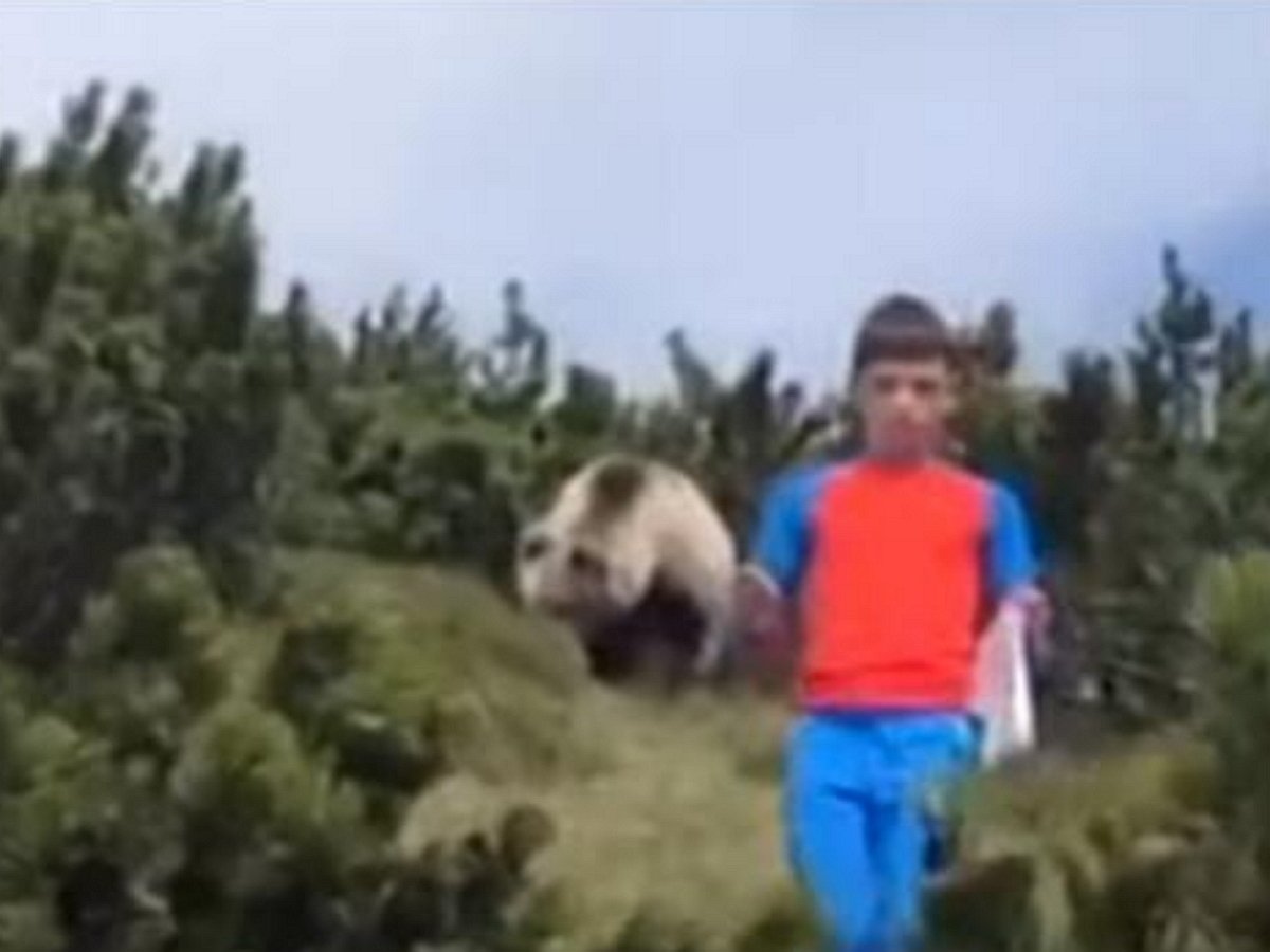 Мальчик уходит от медведя