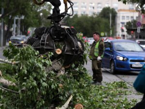 Ураган в Свердловской области убил двух человек