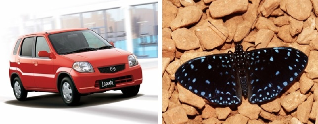 11 интернациональных брендов, которые прогадали с названием