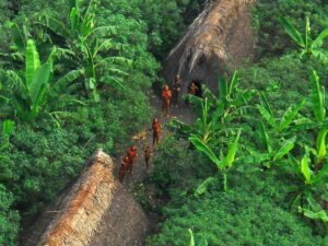 Чем питаются олимпийские чемпионы 