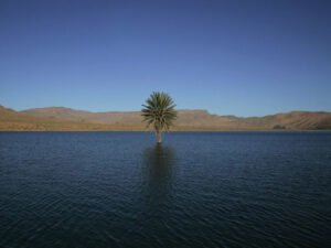 Винтажные селфи знаменитостей