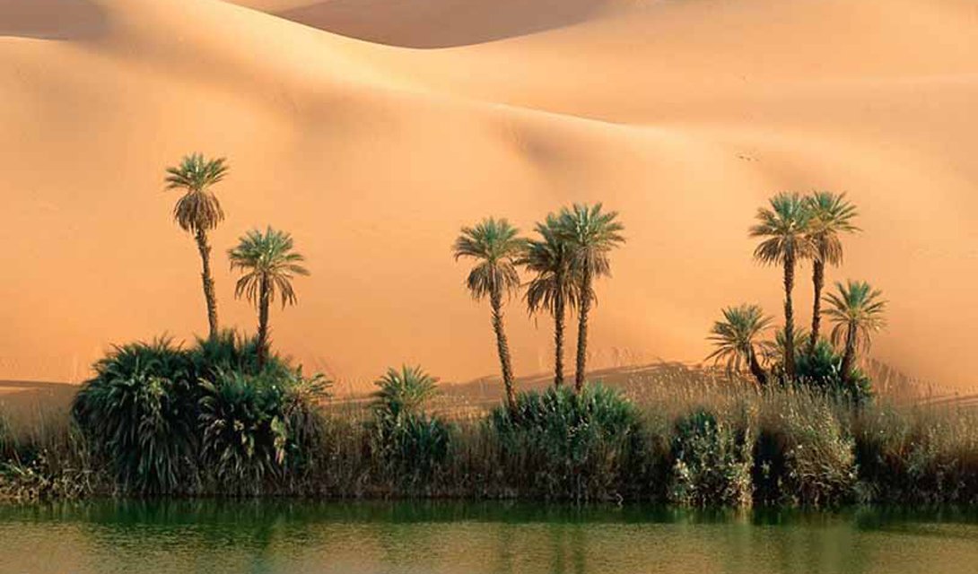 Как могла выглядеть Сахара 5000 лет назад