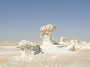 Актеры, которые не выносят своих знаковых ролей 