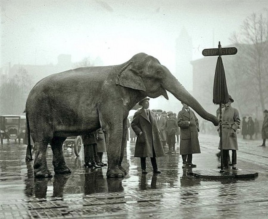 Редкие исторические фото, которые дают представление о мире прошлого века