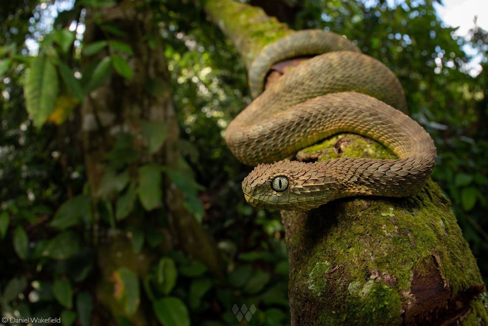 Лучшие фотографии Африки 2020