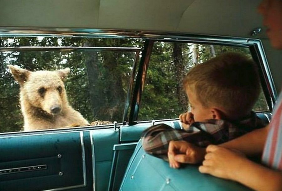 Редкие исторические фото, которые дают представление о мире прошлого века