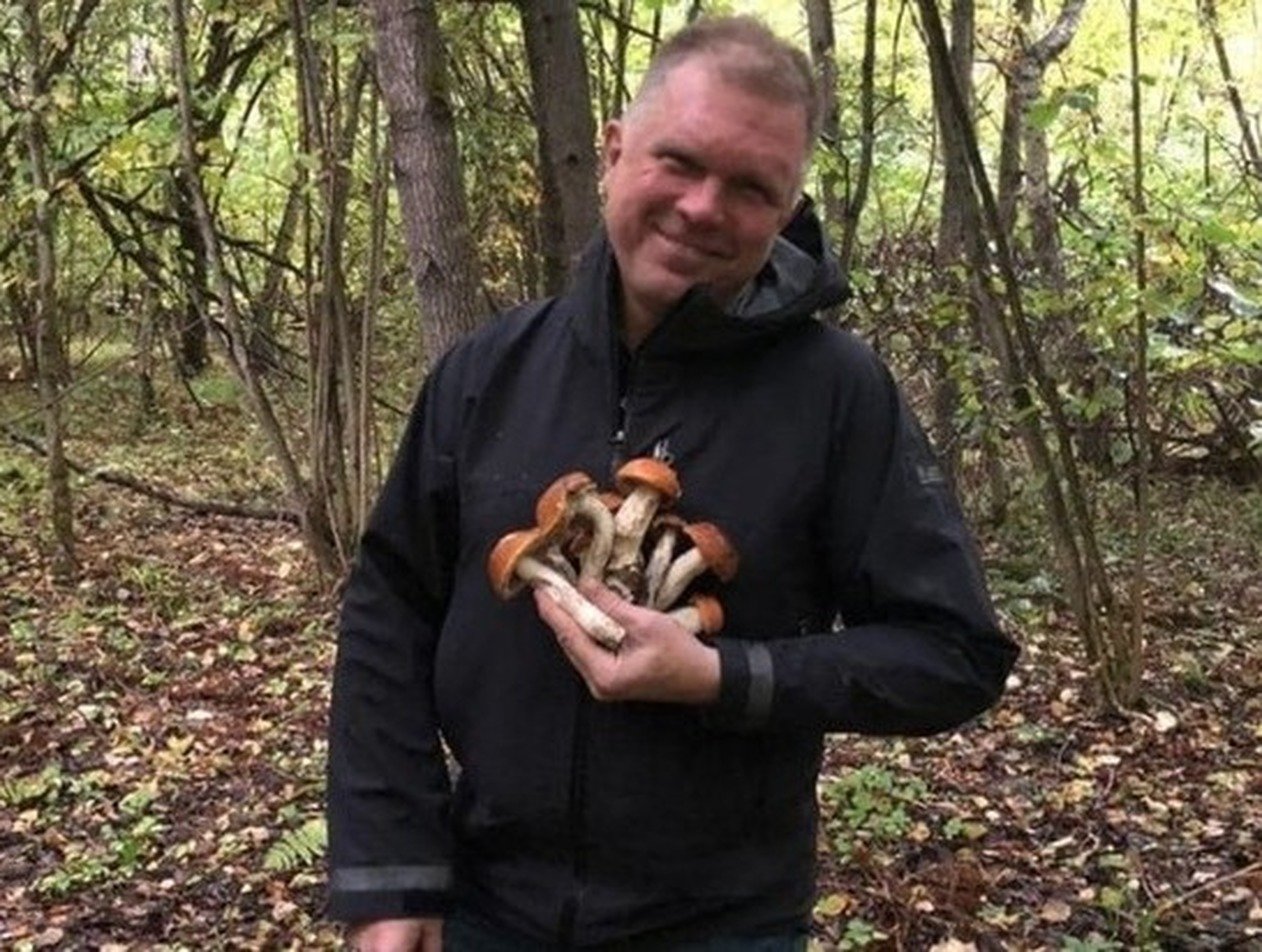 «Любимый журналист Путина» попал в COVID-отделение, отравившись грибами