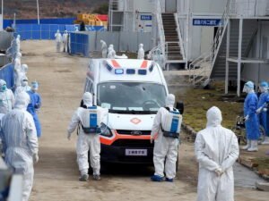 Стало известно, откуда пришел коронавирус на рынок в Пекине