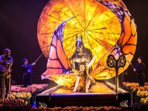 Цирк дю Солей