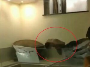 Эпичный прыжок россиянина в бассекн