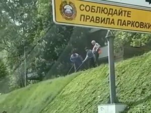 Рабочие в Москве косят газон