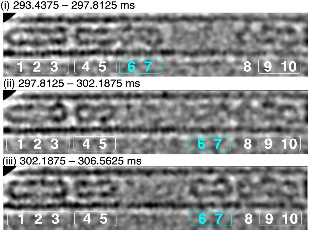 Ученые сняли на видео движение молекул со скоростью 1600 кадров в секунду