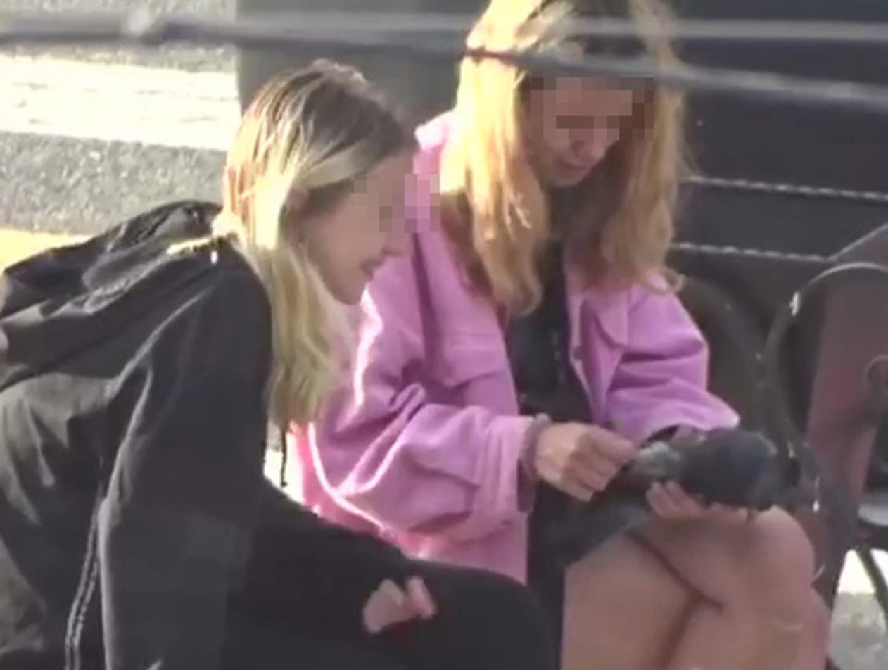 На Урале две школьницы общипали на камеру голубя