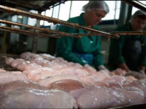 Роскачество назвало лучшие марки куриного филе