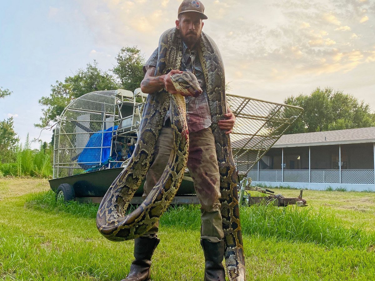 Битва мужчины с гигантской змеей попала на видео