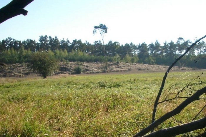 НЛО сняли в Польше