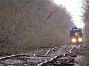 Видео с поездом, двигающимся по заброшенным на 50 лет рельсам, стало вирусным