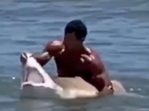 Мужчина голыми руками снял с крючка акулу