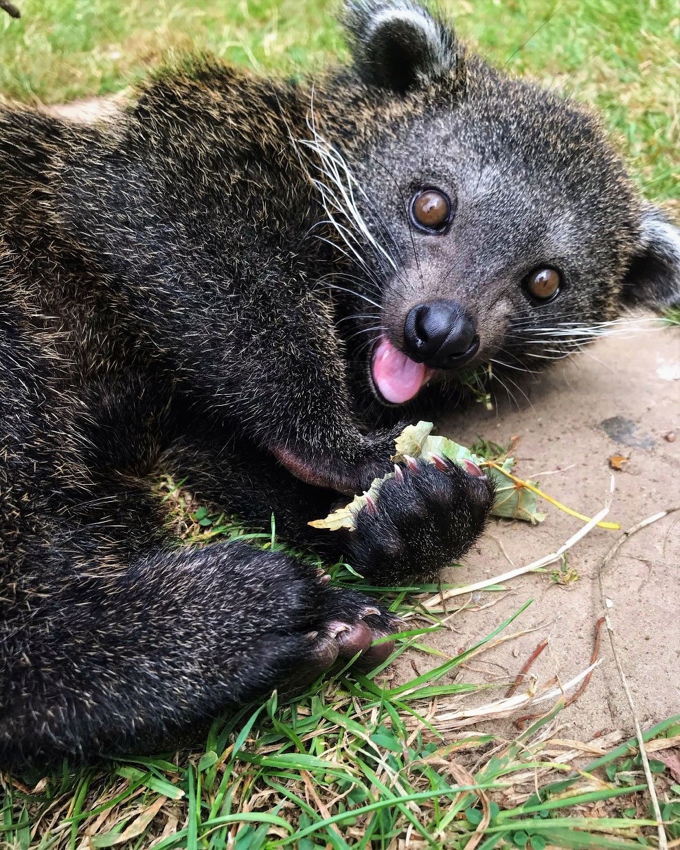 Победители конкурса фотографий BIAZA 2020