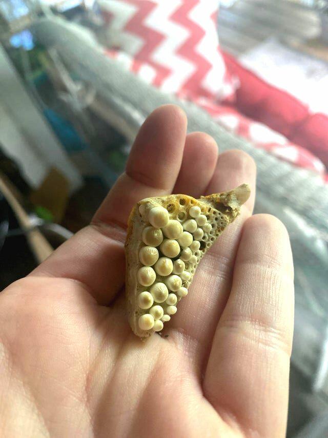 Удивительные факты со всего мира в фотографиях