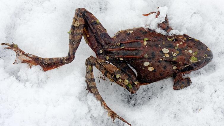Удивительные факты со всего мира в фотографиях