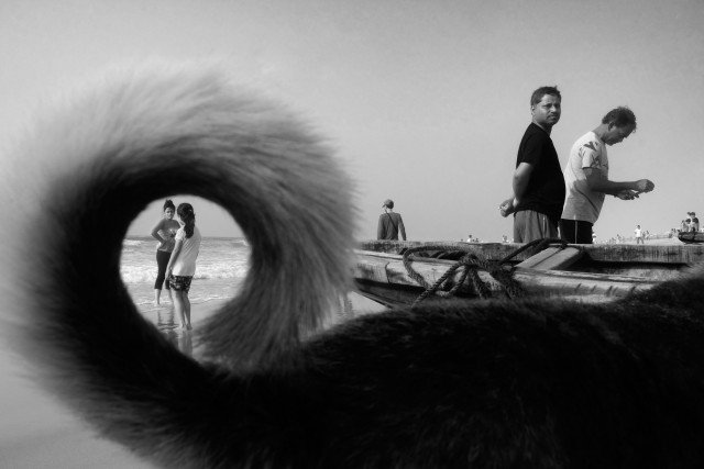 Ракурс решает все: оптические иллюзии в фотографии