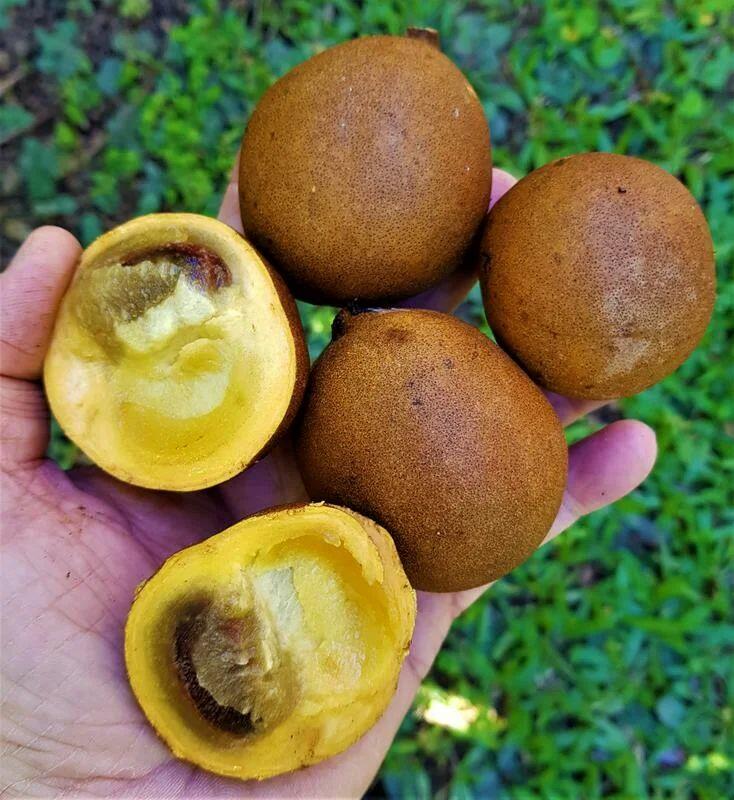 Удивительные факты со всего мира в фотографиях