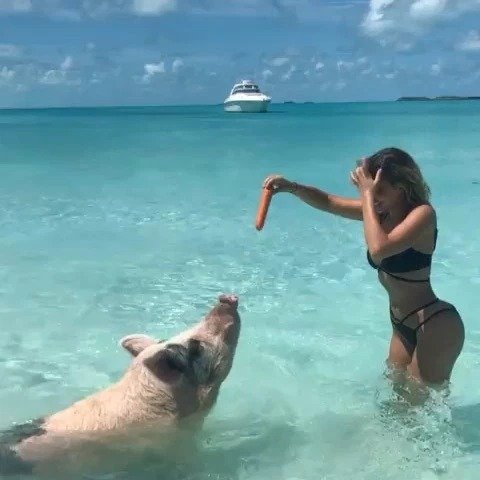 Фото «золотой молодежи» с отдыха