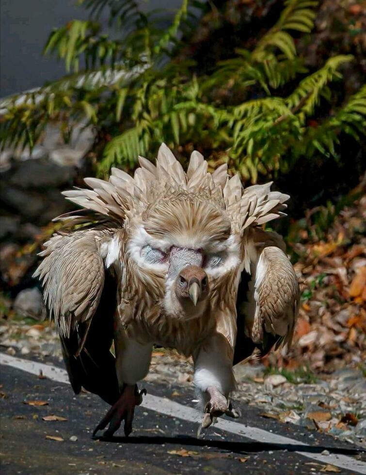 Удивительные факты со всего мира в фотографиях