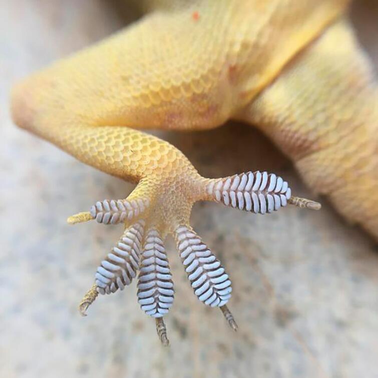 Удивительные факты со всего мира в фотографиях