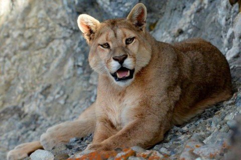 Удивительные факты со всего мира в фотографиях