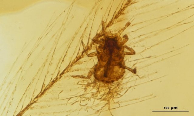 Малоизвестные факты о динозаврах