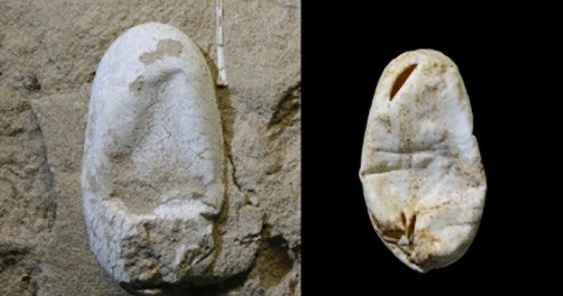 Малоизвестные факты о динозаврах