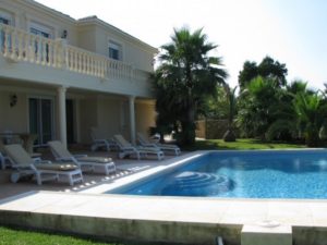 Беременные животные, попавшие в объектив камеры