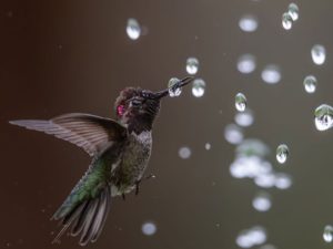 Юный Путин и беззубый Барак Обама: как выглядели политики в молодости 