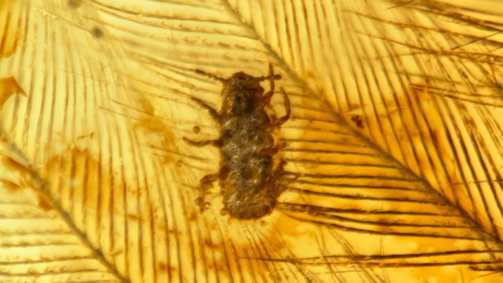 Малоизвестные факты о динозаврах