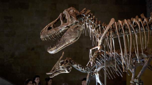 Малоизвестные факты о динозаврах