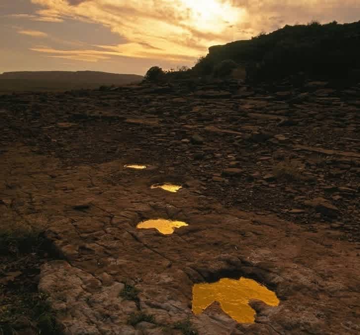 17 удивительных фотографий без фотошопа