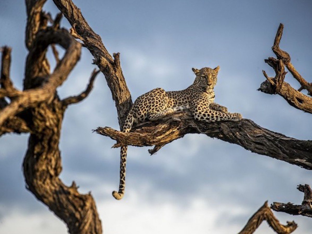 Международный конкурс Smithsonian Photo Contest