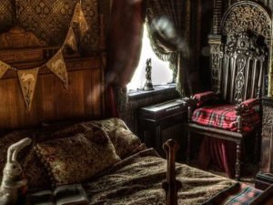 10 лучших фотографий птиц с конкурса Audubon Photography Awards 2020