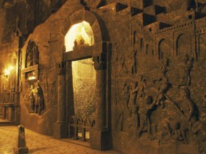 10 самых необычных домашних животных 