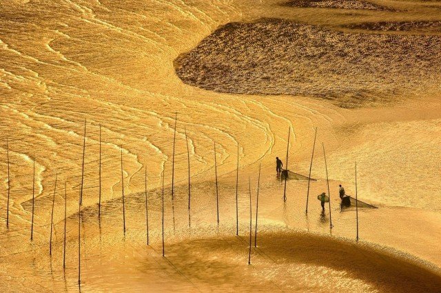 Международный конкурс Smithsonian Photo Contest