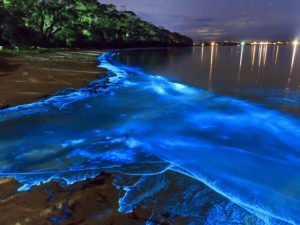 Звезды, играющие звезд: знаменитости и их 